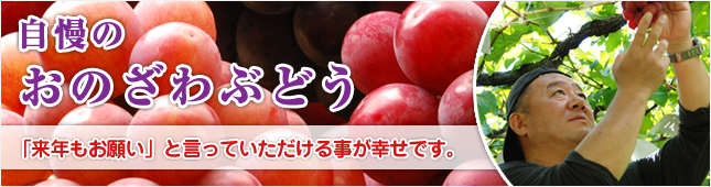 自慢のおのざわのぶどう「来年もお願い」と言っていただける事が幸せです。